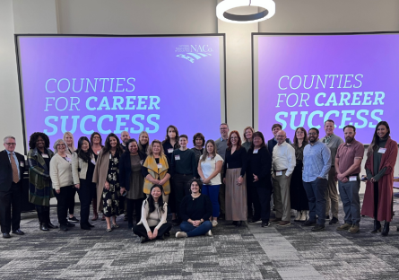 Counties for career success participants